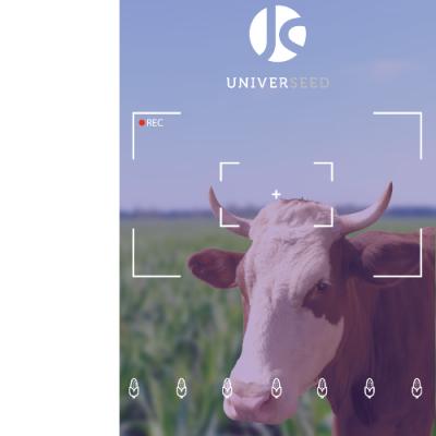 UNIVERSEED: силосна кукурудза для молочного тваринництва