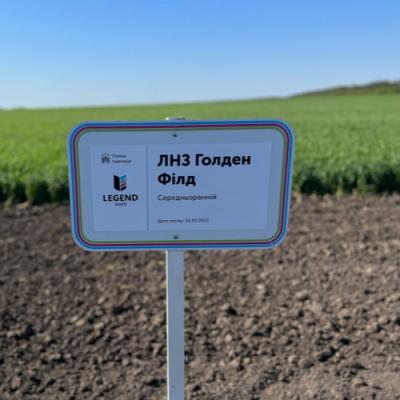Озима пшениця на Черкащині: дослідження нових сортів та результати року