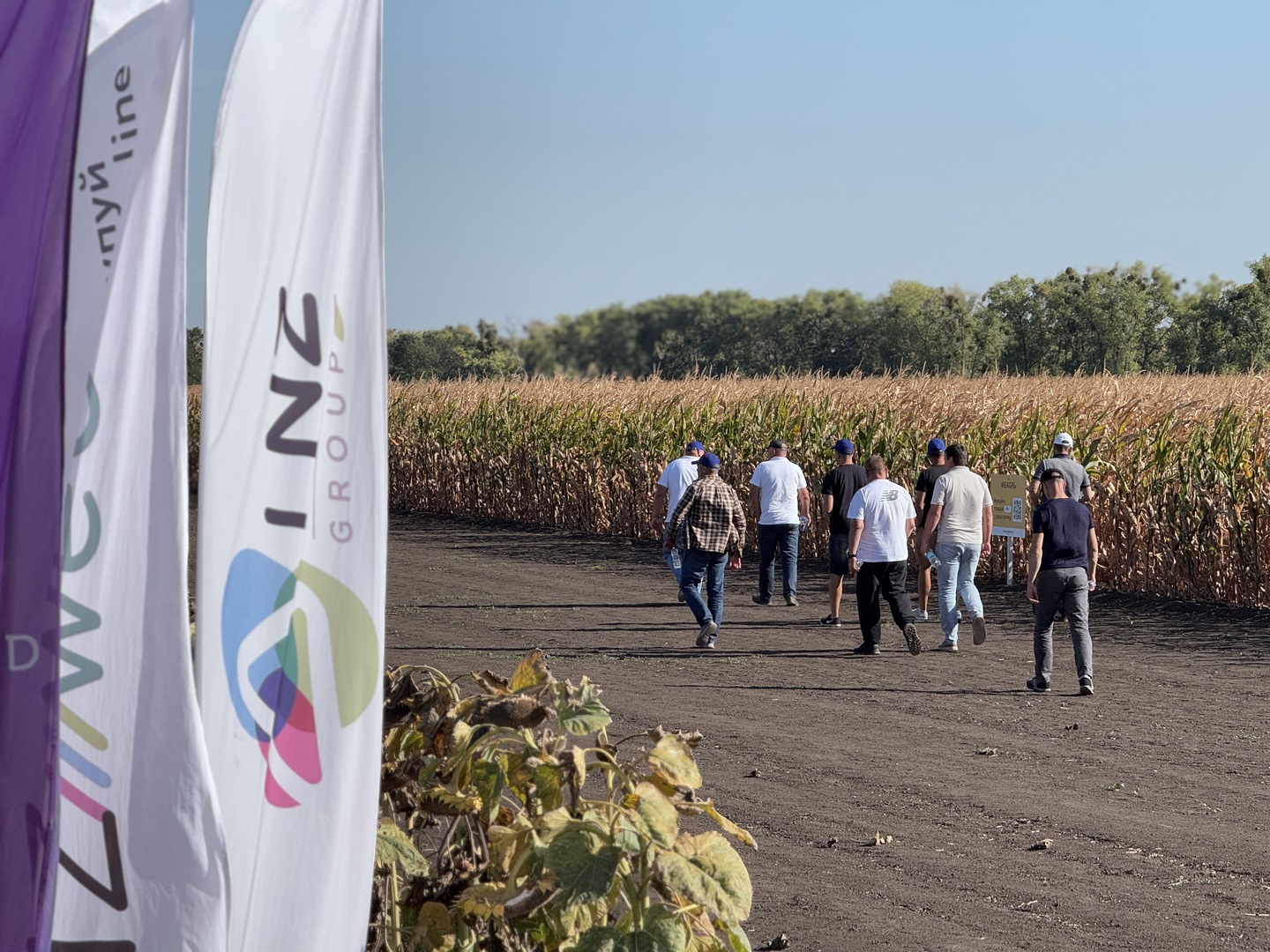 LNZ Hub 8.0 фото 7 LNZ Group