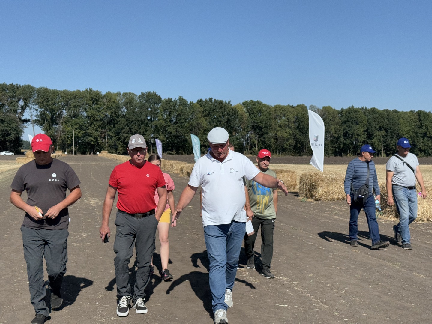 LNZ Hub 8.0 фото 12 LNZ Group