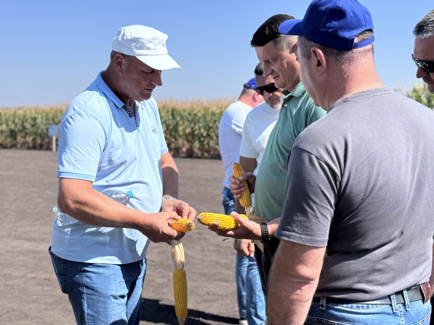 LNZ Hub 8.0 фото 15 LNZ Group