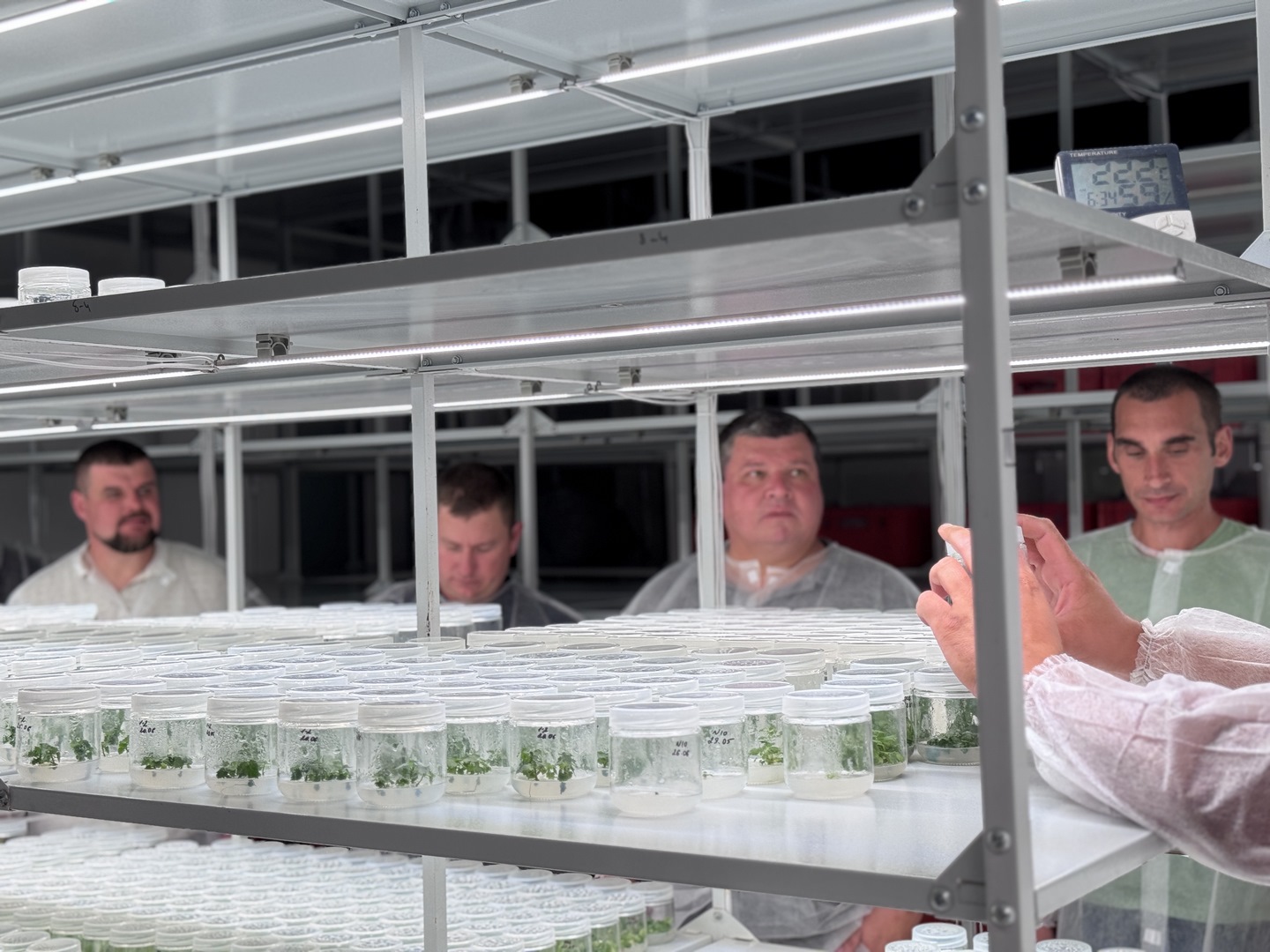 LNZ Hub 8.0 фото 17 LNZ Group