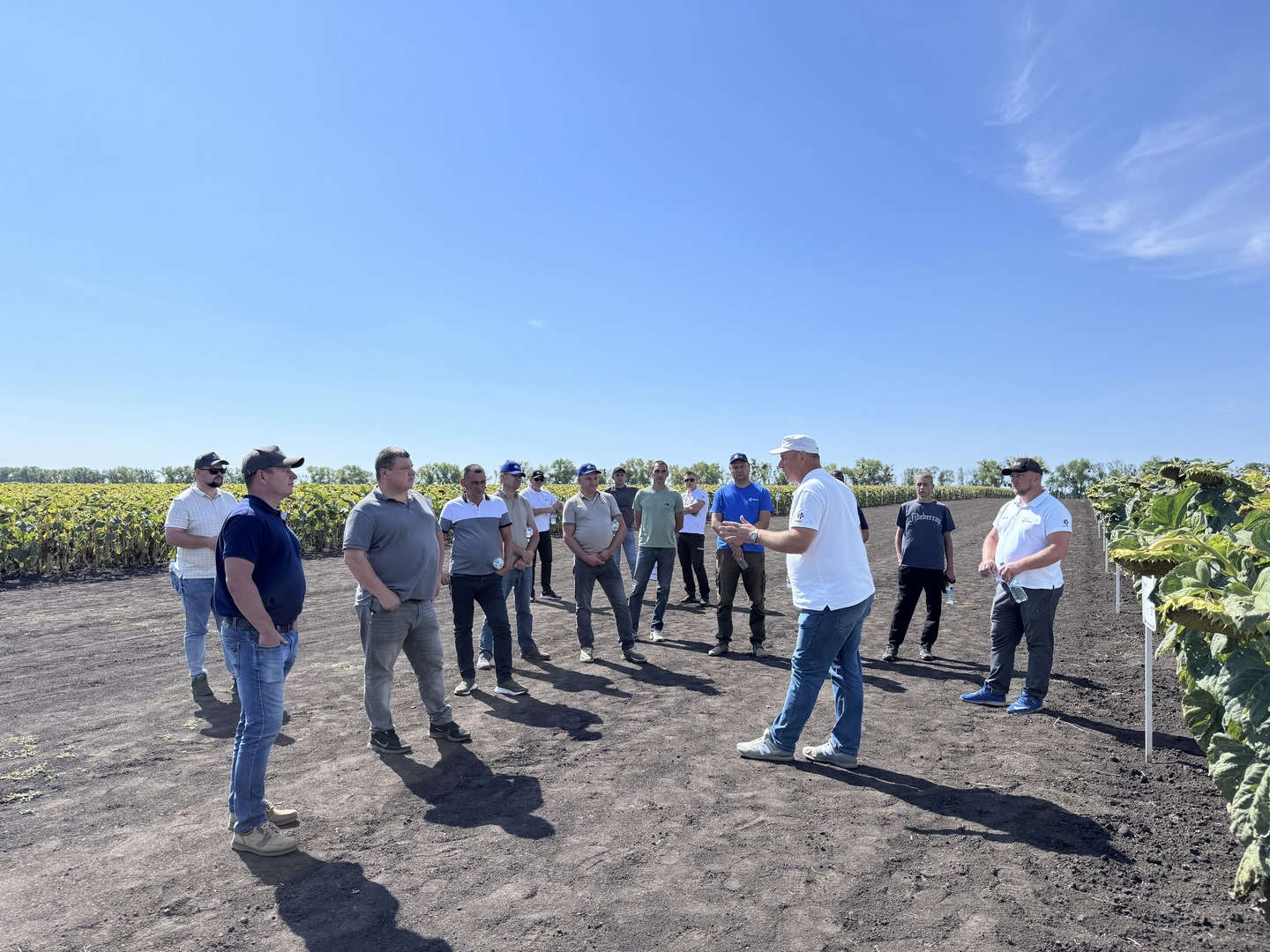 LNZ Hub 8.0 фото 18 LNZ Group