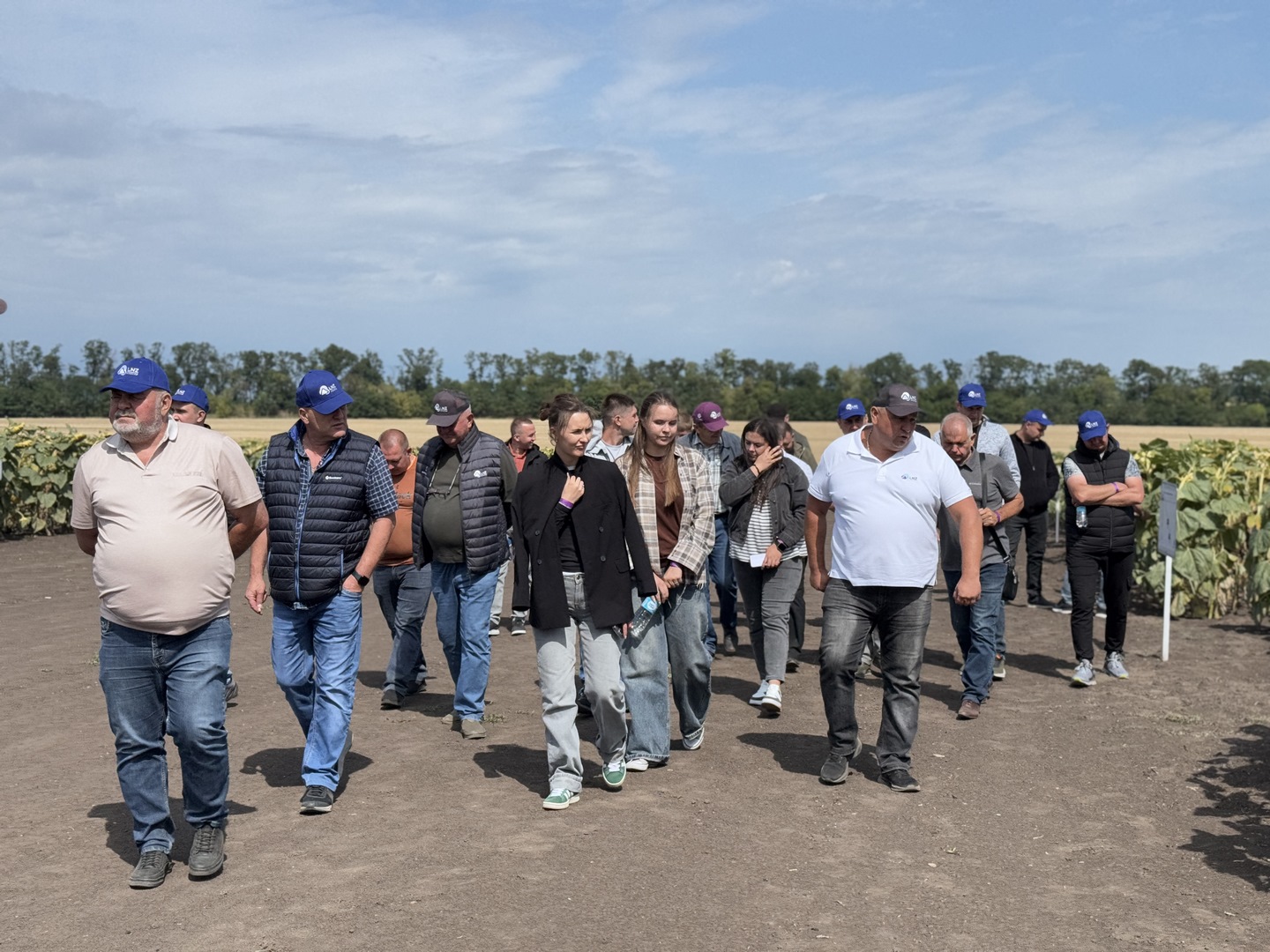 LNZ Hub 8.0 фото 21 LNZ Group