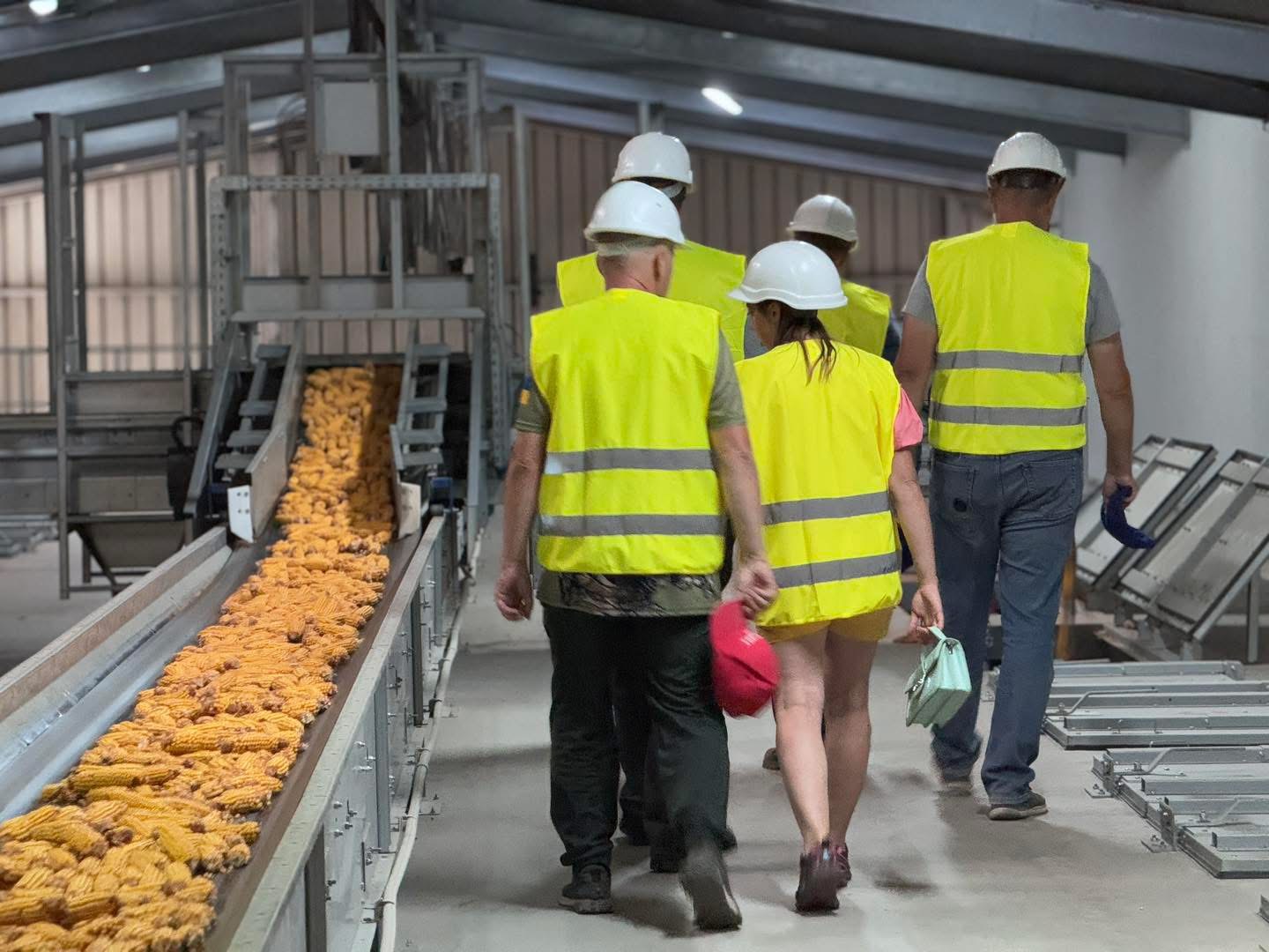 LNZ Hub 8.0 фото 29 LNZ Group