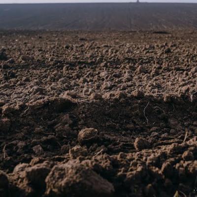 ТОП 30 гербіцидів за кількістю переглядів на SuperAgronom.com у 2019 р.
