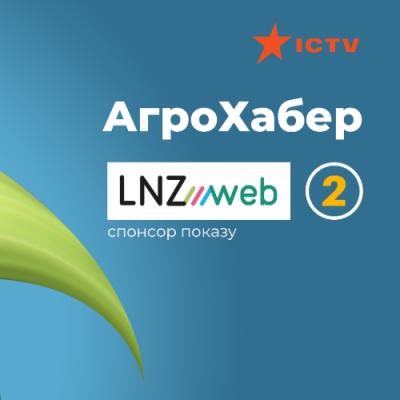 Поради експерта: як правильно вибрати насіння для посіву