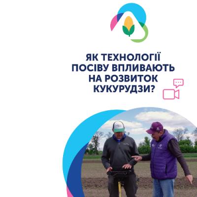 Як технології посіву впливають на розвиток кукурудзи? 