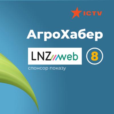 Як виростити ідеальну кукурудзу