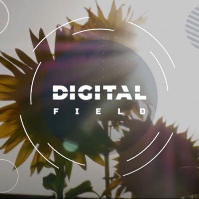 Digital Field презентує результати досліджень з вирощування соняшнику та кукурудзи