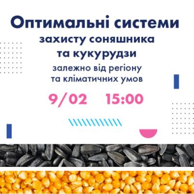 LNZ Hub. Оптимальні системи захисту соняшника та кукурудзи залежно від регіону та кліматичних умов