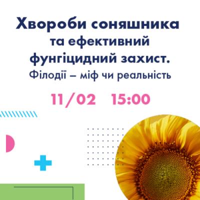 LNZ Hub. Хвороби соняшнику та ефективний фунгіцидний захист. Філодії - міф чи реальність.