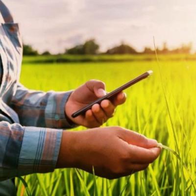 Стати радником для аграрія: Як бути ефективним в умовах зміни клімату та подорожчання ресурсів