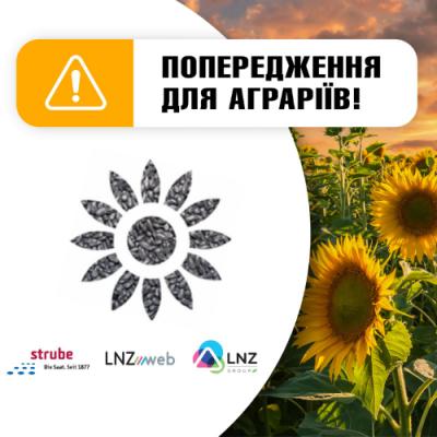 Strube закликає остерігатися підробок насіння соняшнику