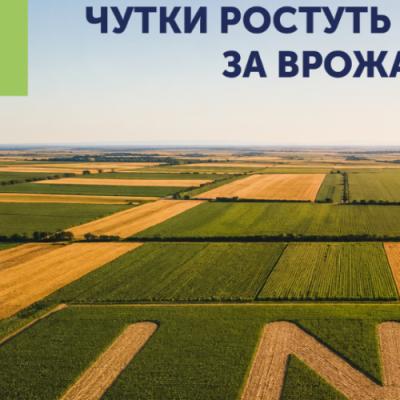 Офіційна заява LNZ Group: чутки ростуть швидше за врожай