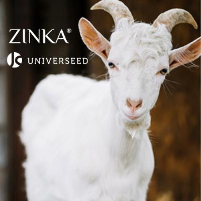 LNZ Group із брендом UNIVERSEED та Zinka починають співпрацю