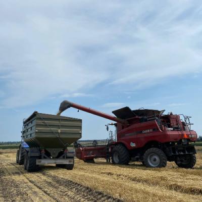 Озима пшениця на LNZ-хаб: особливості, досліди та врожайність