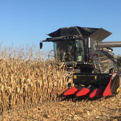 Досвід вирощування кукурудзи на малопродуктивних ґрунтах