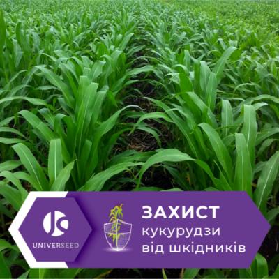 Система захисту кукурудзи від шкідників