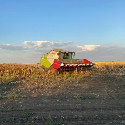 Результати врожайності соняшнику Strube на Дніпропетровщині
