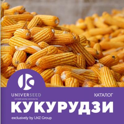 UNIVERSEED презентує каталог кукурудзи на 2024 рік