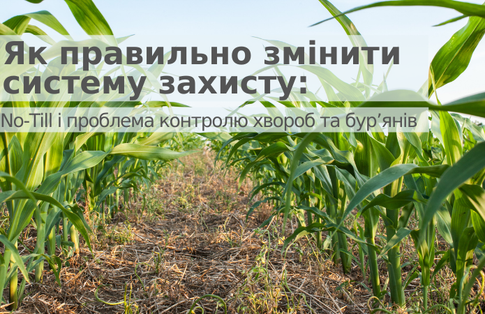 Як правильно змінити систему захисту: No-Till і проблема контролю хвороб та бур’янів фото 1 LNZ Group