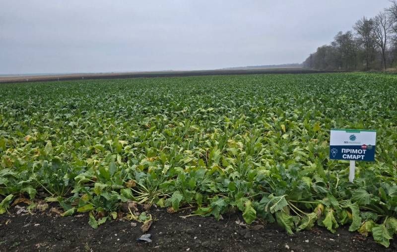 Олександр Мельник: Українські виробники отримають доступ до найкращих європейських гібридів цукрових буряків під брендом UBS фото 4 LNZ Group