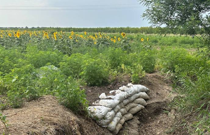 Аграрії Миколаївщини оговтуються після воєнних дій, усе пошкоджено фото 2 LNZ Group