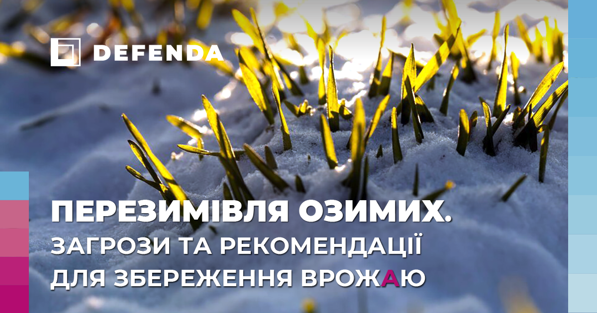 Озимі входять у зиму: загрози та рекомендації для збереження врожаю фото 1 LNZ Group