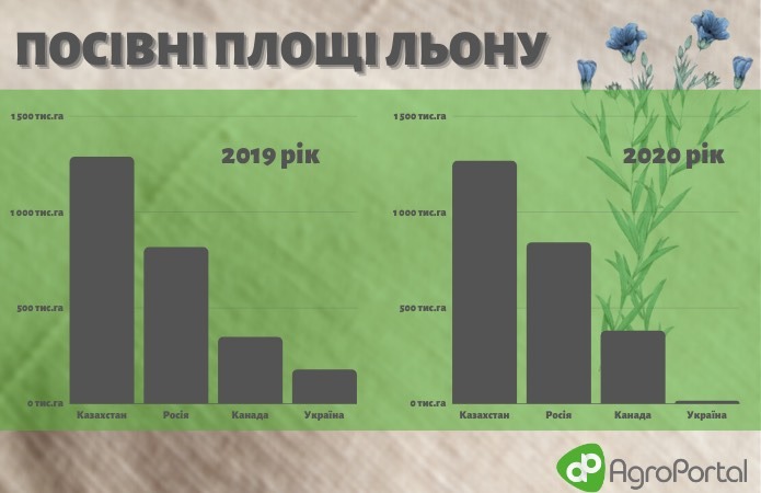 Чому льон так і не зайняв лідерську позицію на українських полях фото 2 LNZ Group