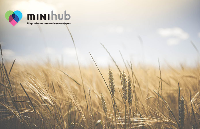 У рамках Mini Hub від LNZ аграрії дізнаються про технології захисту зернової та силосної кукурудзи фото 1 LNZ Group