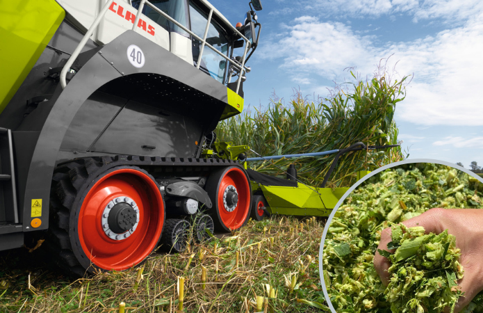 Silage Workshop: визначено всі складові високоякісного силосу фото 1 LNZ Group