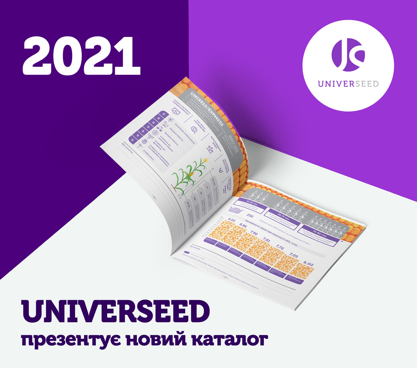 UNIVERSEED від LNZ Group виводить на ринок новий гібрид кукурудзи для зони недостатнього зволоження фото 1 LNZ Group