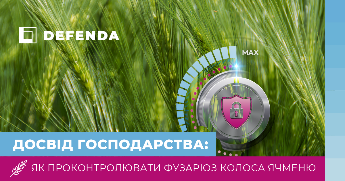 Урожаю пивоварного ячменю на Чернігівщині загрожував фузаріоз колоса фото 1 LNZ Group