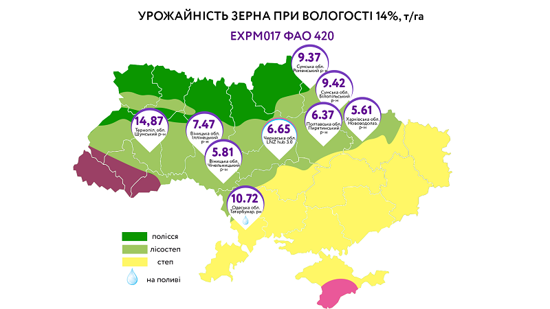 Результати агросезону 2020: Які гібриди кукурудзи показали себе найкраще? фото 8 LNZ Group