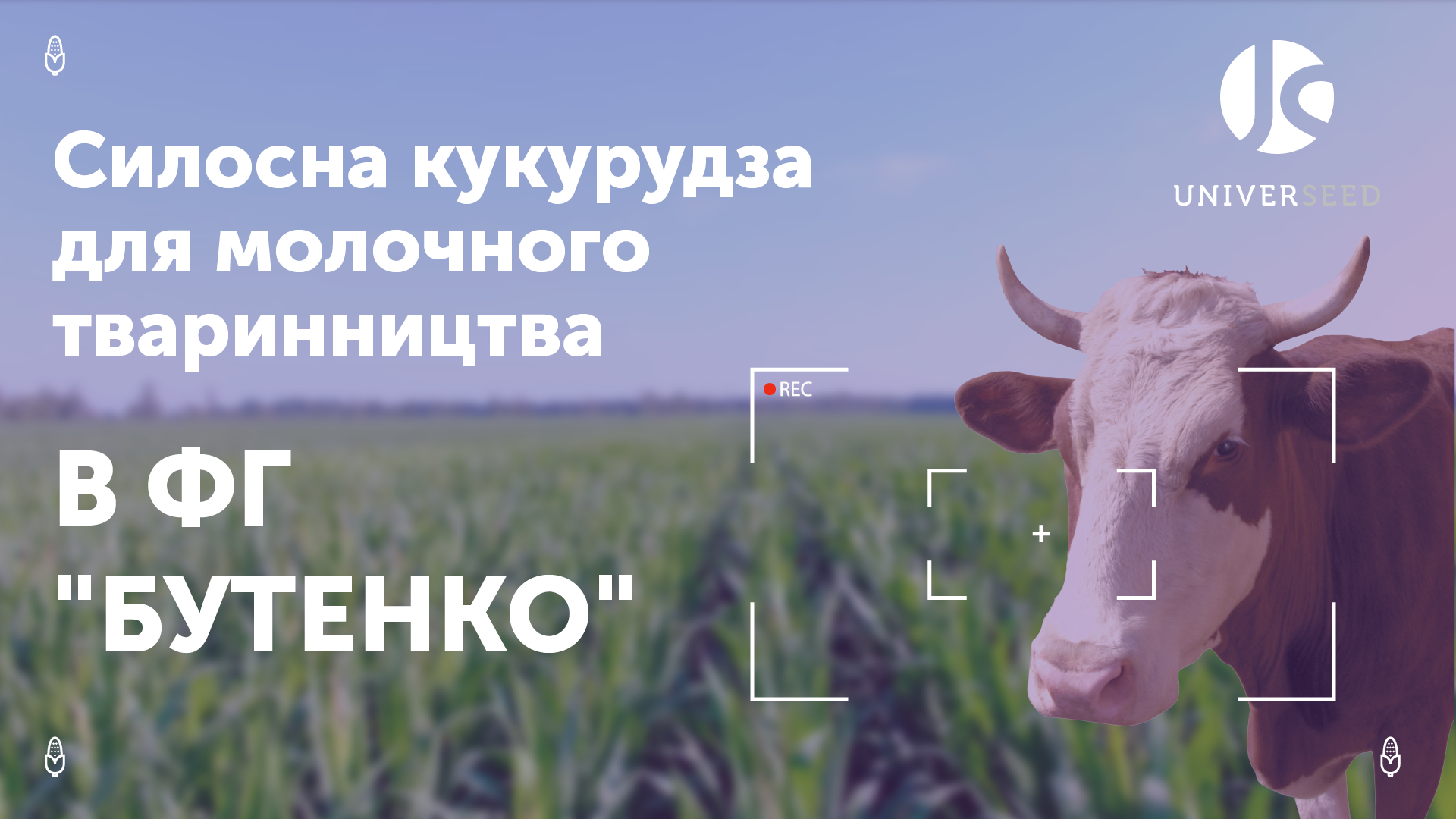 UNIVERSEED: силосна кукурудза для молочного тваринництва фото 1 LNZ Group