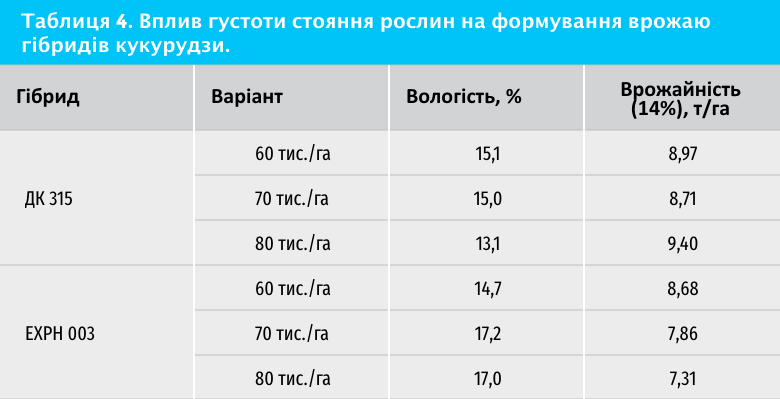 Час підбити підсумки. Результати LNZ hub 2019 фото 7 LNZ Group