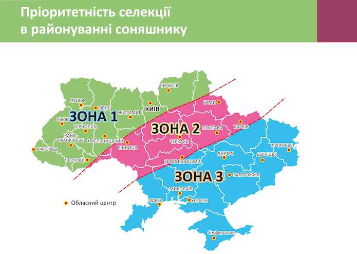 Лутц Геррманн: Посіви соняшнику залежать від ціни, змін клімату і якісної селекції фото 2 LNZ Group