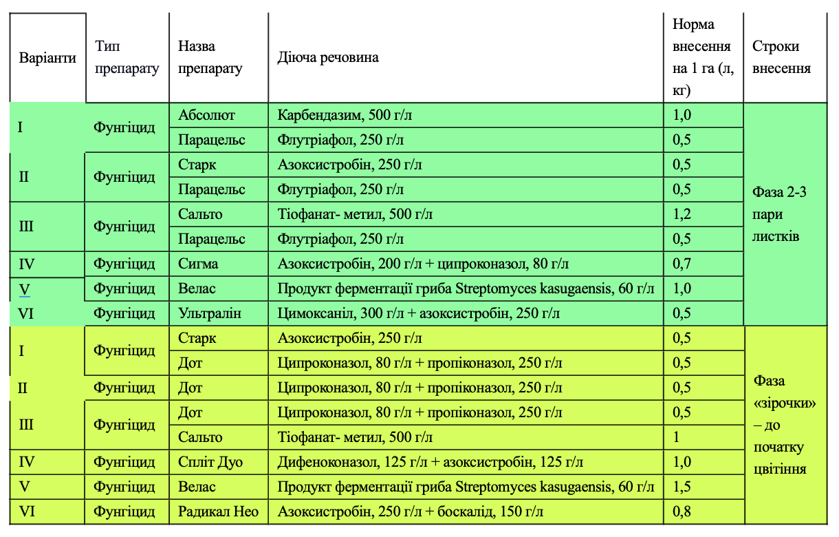 Робота на випередження: дієві поради для збереження урожаю соняшнику фото 2 LNZ Group