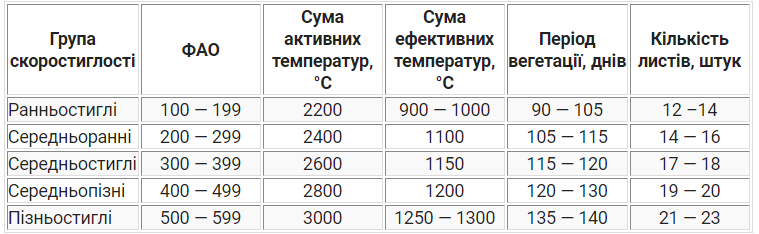 Аграрний лайфхак // Як правильно обрати гібрид кукурудзи фото 3 LNZ Group