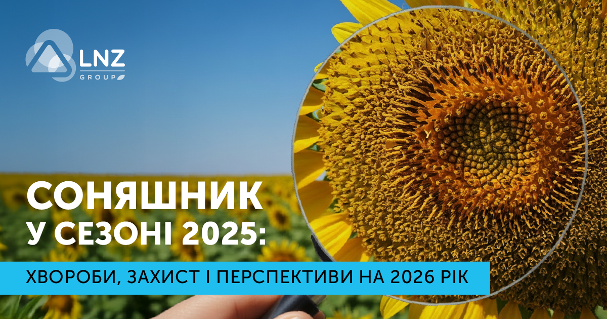 Соняшник у сезоні 2025: хвороби, захист і перспективи на 2026 рік фото 1 LNZ Group