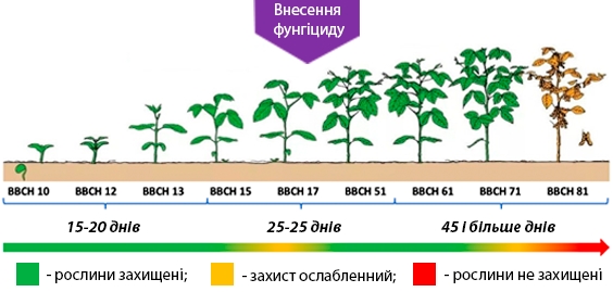 Боротьба з хворобами на посівах сої від бренду DEFENDA фото 1 LNZ Group