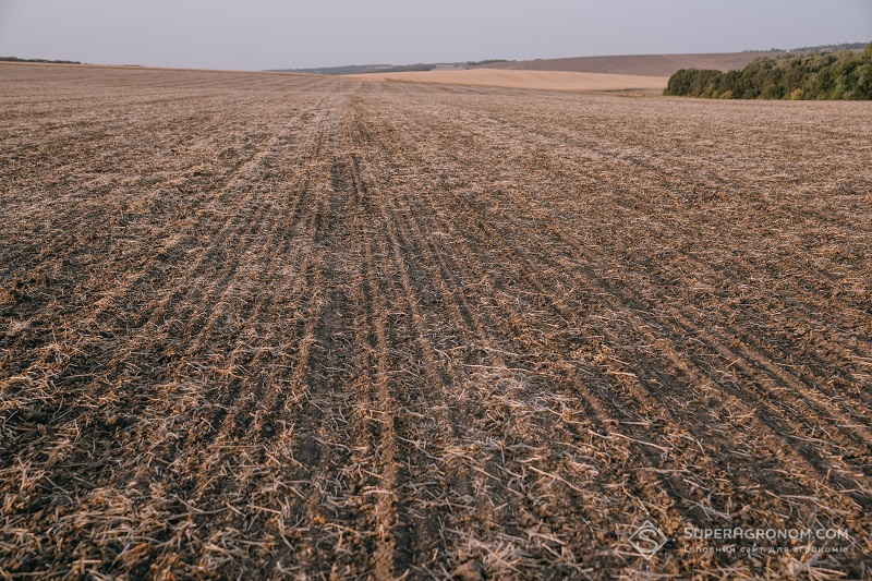Обробіток ґрунту навесні: етапи, технології та основні помилки фото 4 LNZ Group