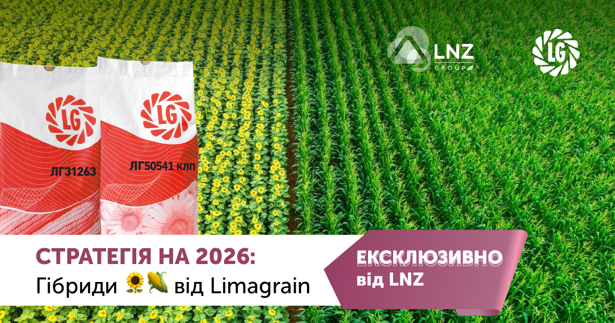 Гібриди кукурудзи ранньої групи виграли в сезоні-2025 фото 1 LNZ Group