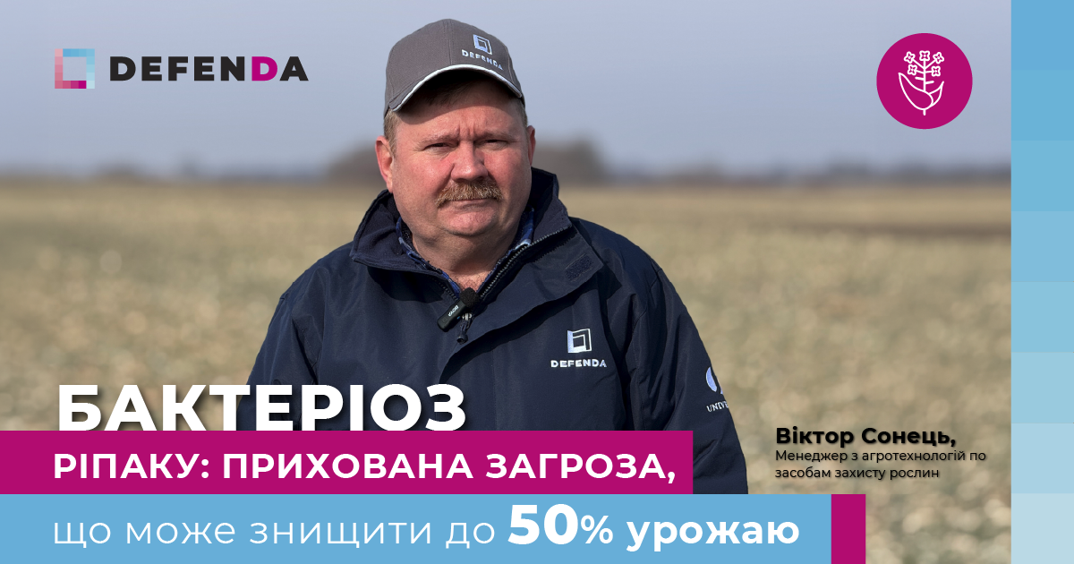 Бактеріоз озимого ріпаку, міф чи реальність фото 1 LNZ Group
