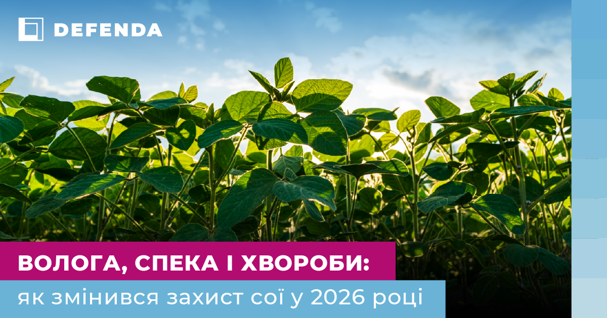 Соя під тиском погоди: як хвороби змінюють систему захисту у 2026 році фото 1 LNZ Group