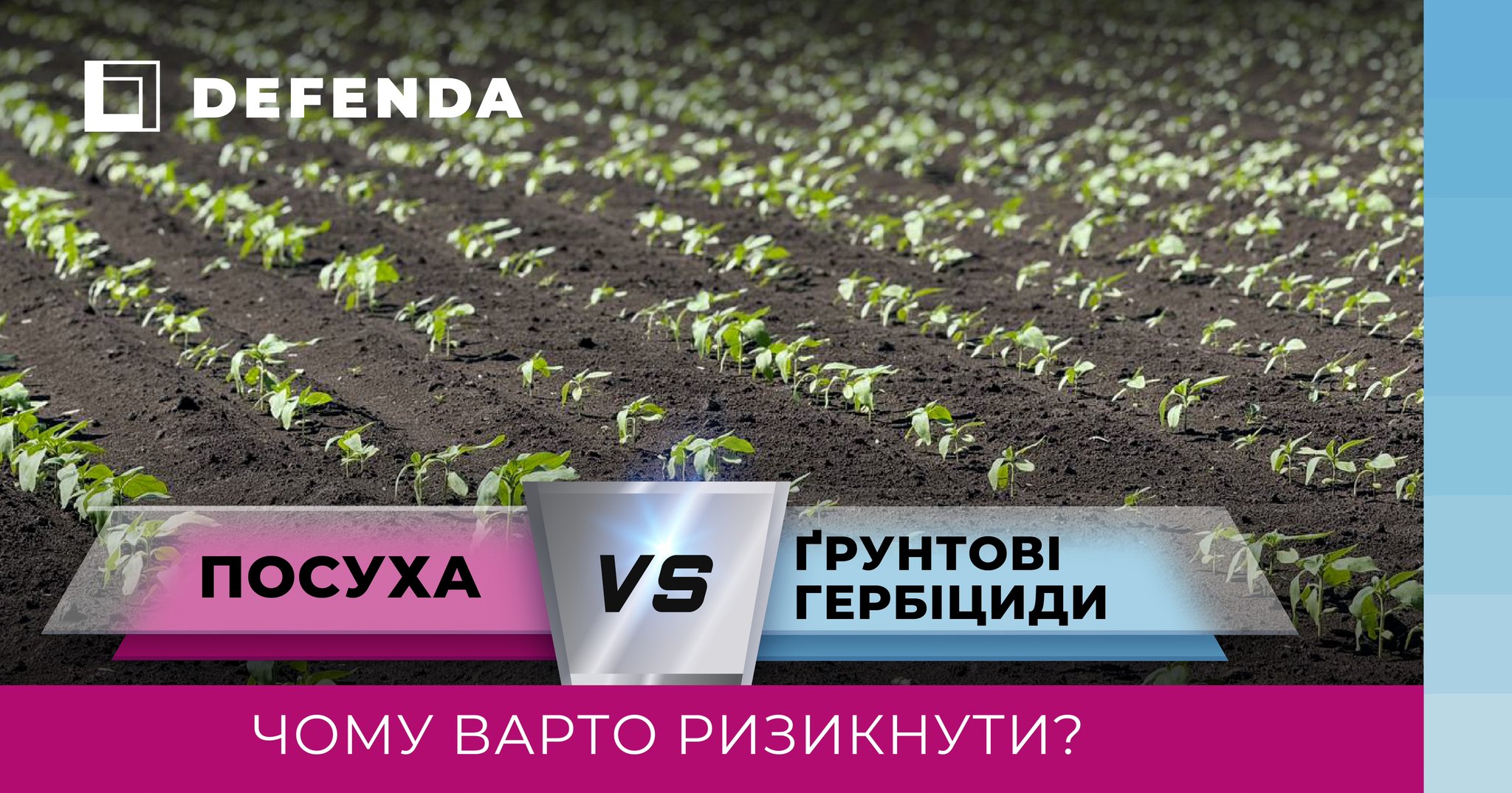 Ґрунтові гербіциди в умовах посухи: чому «менша ефективність» краща за повну її відсутність фото 1 LNZ Group
