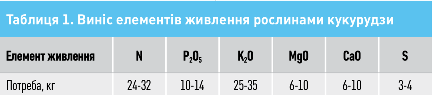 Особливості живлення та удобрення кукурудзи при посіві фото 3 LNZ Group