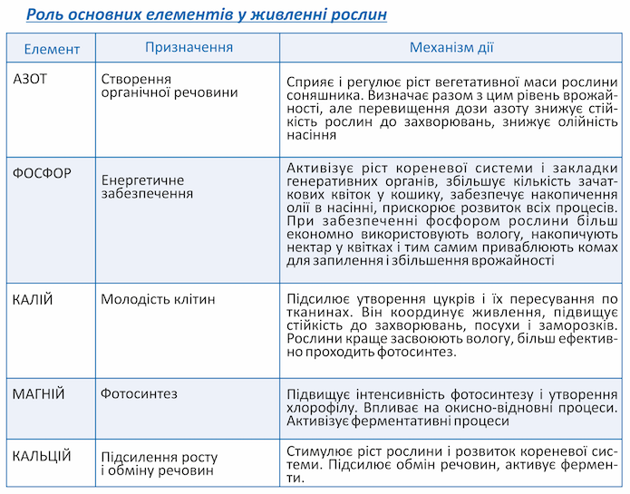 Особливості технології вирощування соняшнику фото 2 LNZ Group