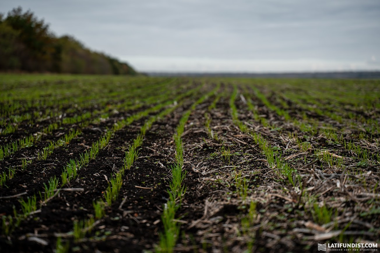 Які зміни в технологіях потрібні при переході на безвідвальний обробіток ґрунту розповів експерт фото 1 LNZ Group